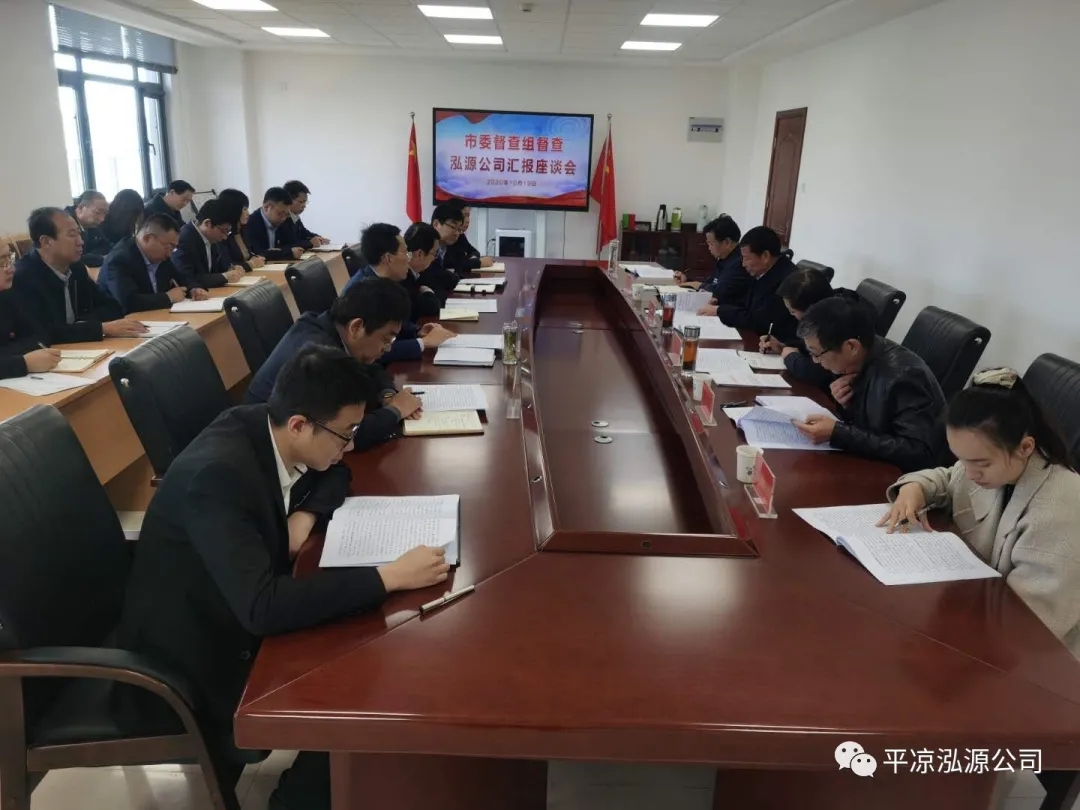 市委辦公室、市政府國資委督查泓源公司工作(圖4)